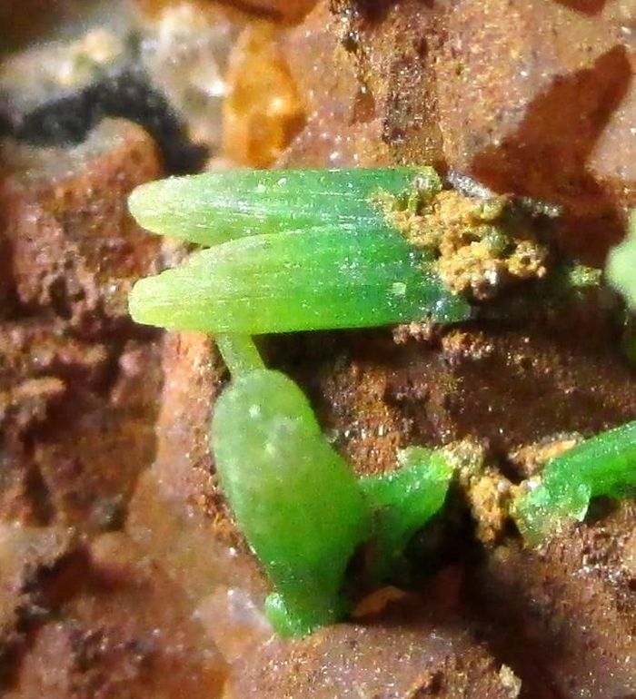 Pyromorphite On Quartz On Fluorite