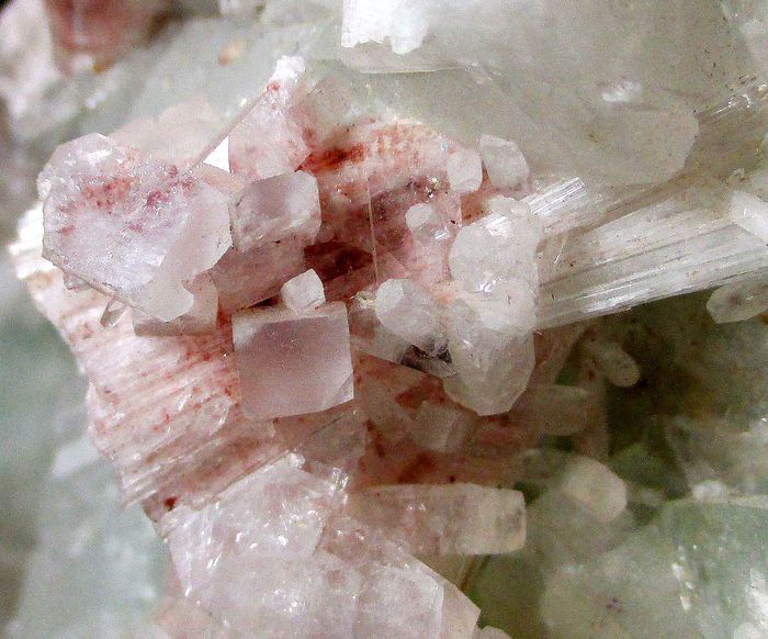 Scolecite Fluorapophyllite-(K) & Stilbite