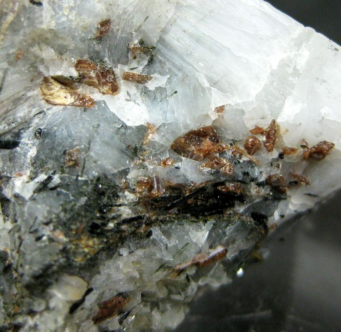 Shcherbakovite