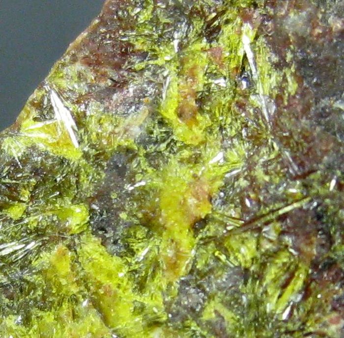 Uranophane