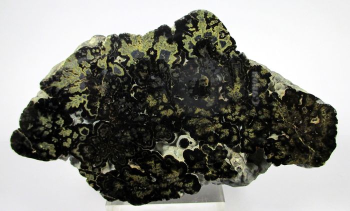 Wurtzite Galena & Sphalerite Var Schalenblende