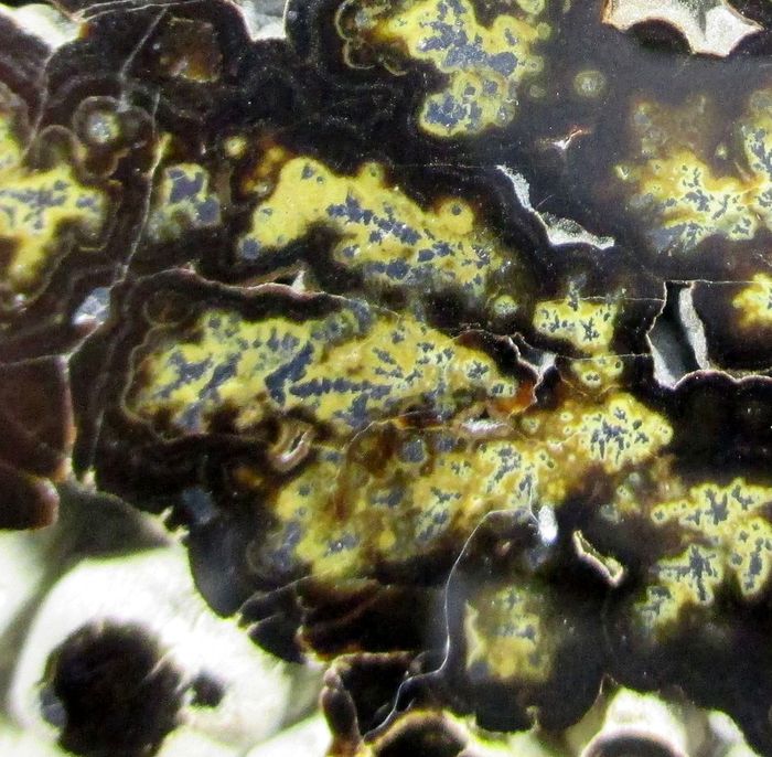 Wurtzite Galena & Sphalerite Var Schalenblende