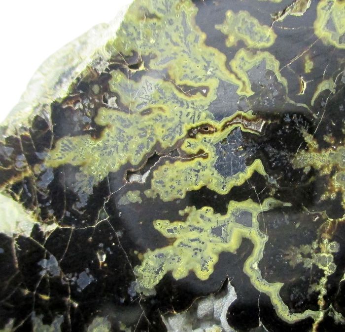 Wurtzite Galena & Sphalerite Var Schalenblende