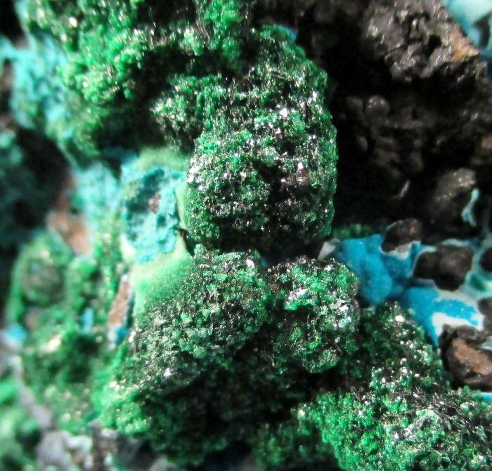 Cornetite Malachite & Heterogenite
