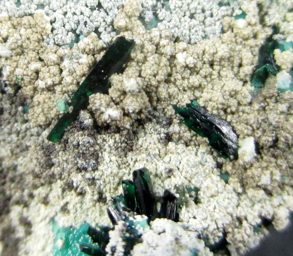 Metahalloysite Atacamite & Pseudomalachite