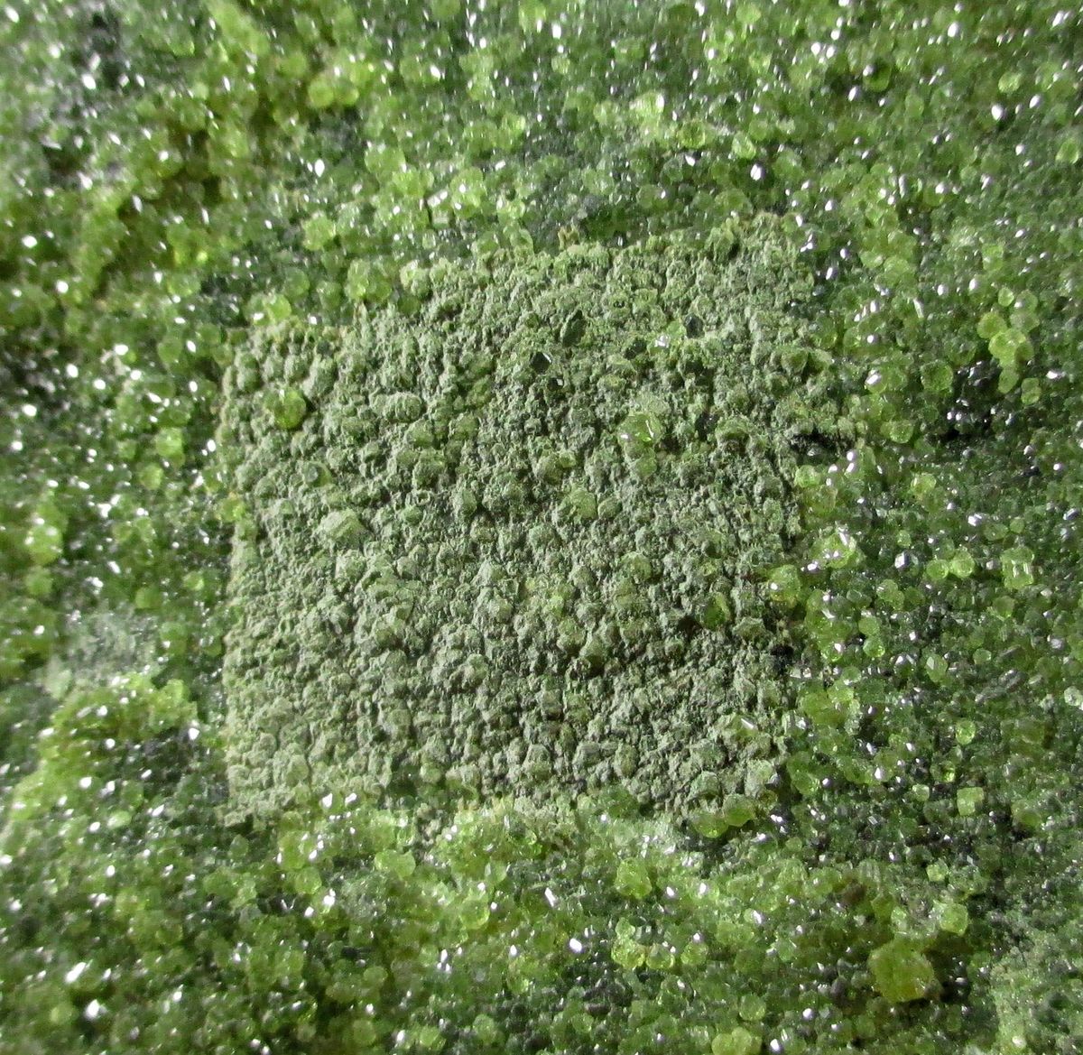 Topazolite On Serpentine
