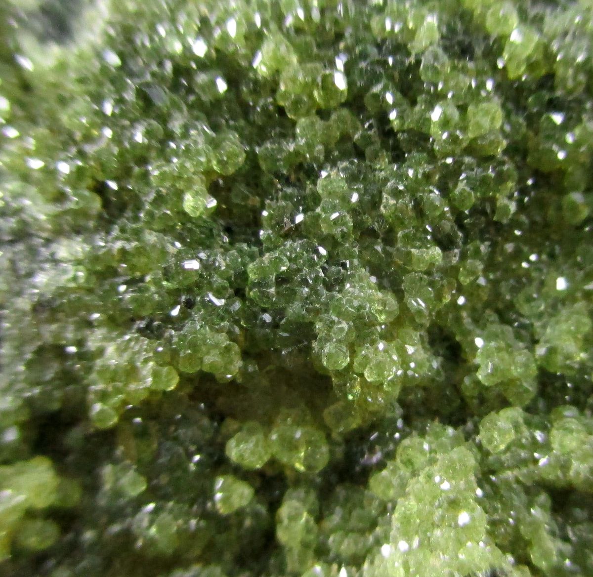Topazolite On Serpentine