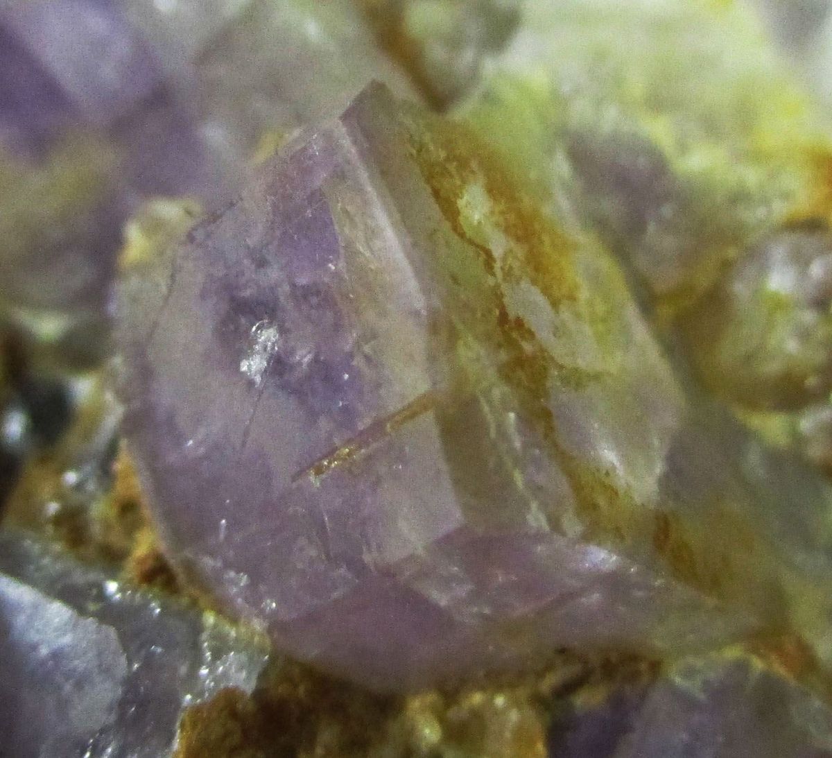 Fluorapatite