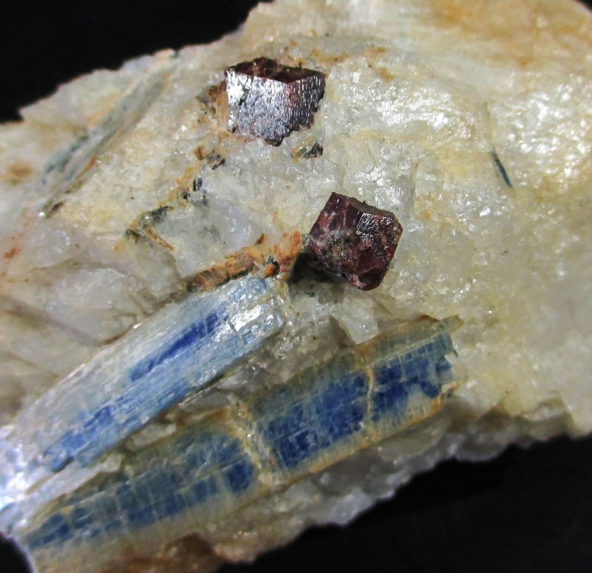 Kyanite & Andradite