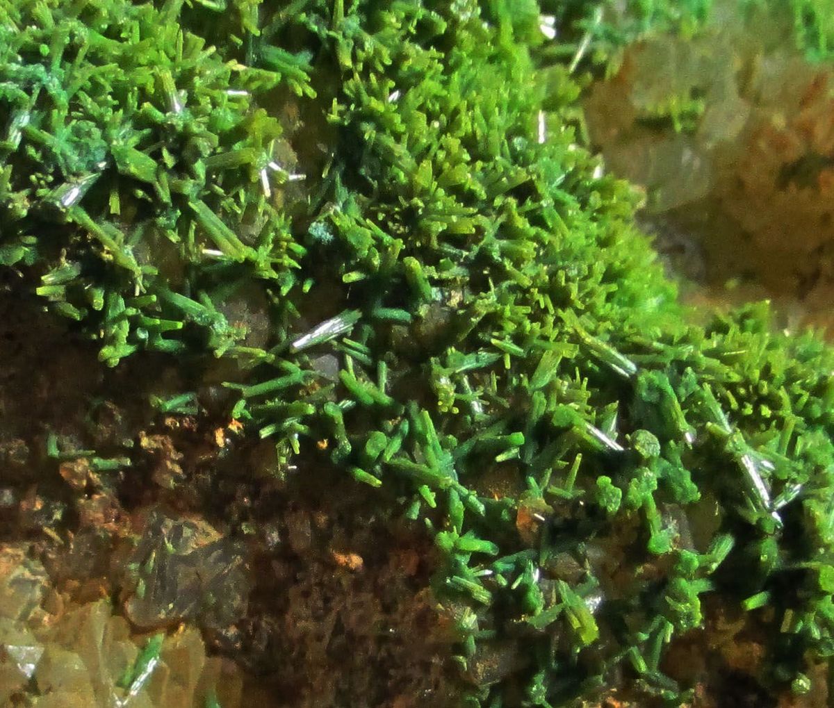 Pyromorphite On Quartz