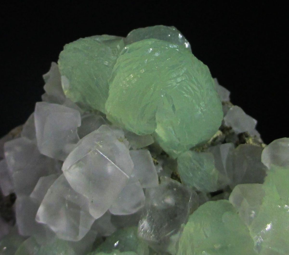 Prehnite Calcite & Pumpellyite
