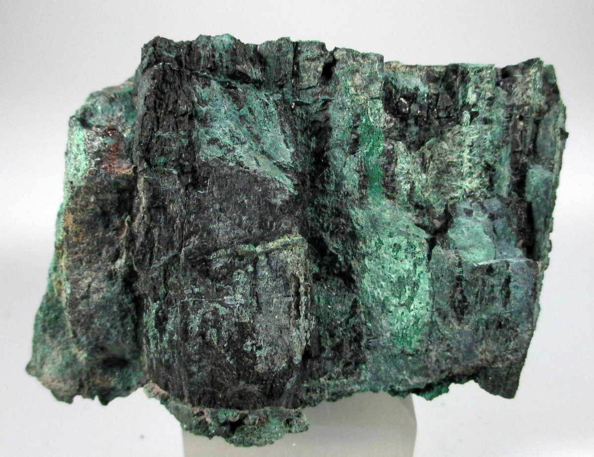 Chalcocite Psm Fossil Wood & Malachite