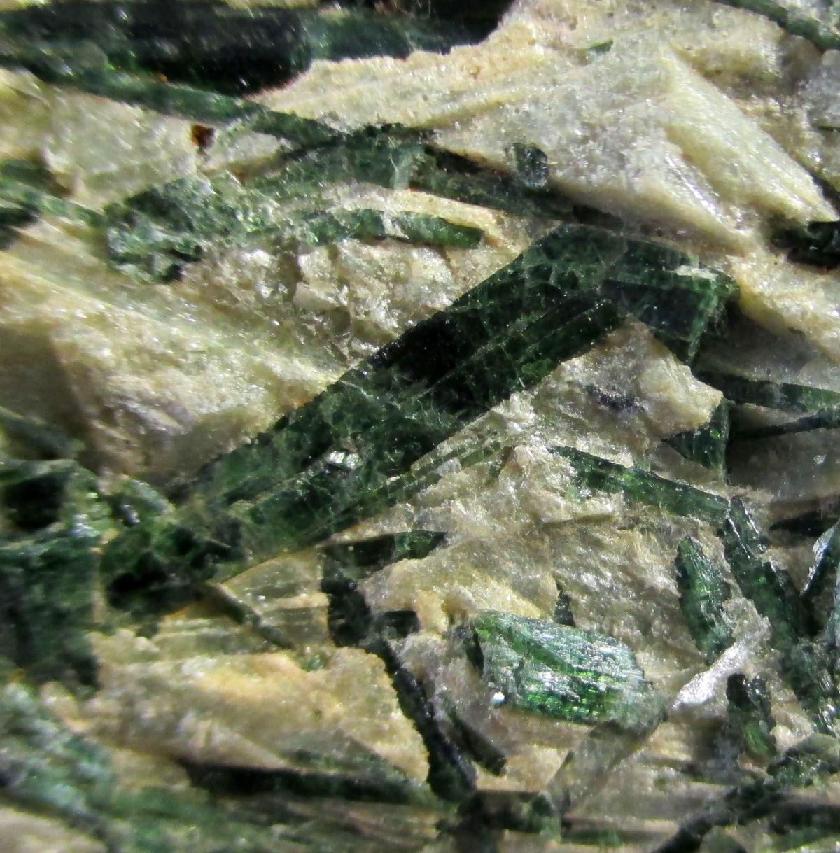 Actinolite