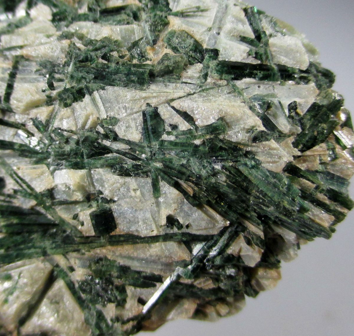 Actinolite