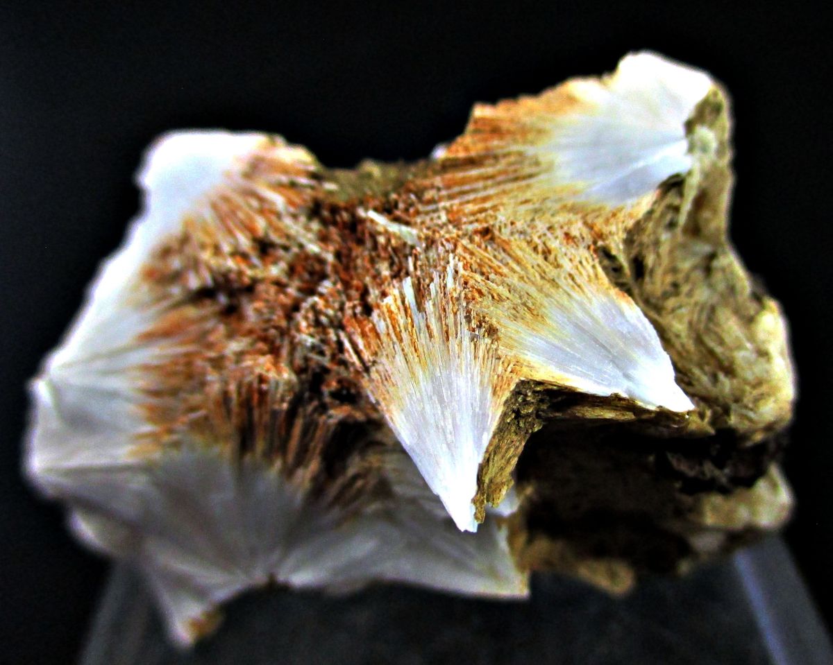 Scolecite