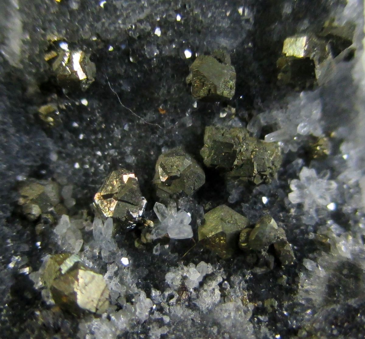 Native Gold With Silver Pyrite Arsenopyrite & Sphalerite