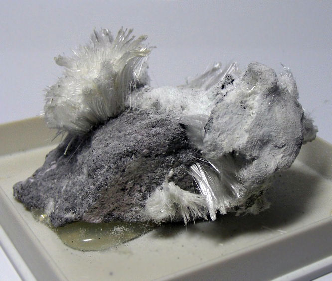 Halotrichite