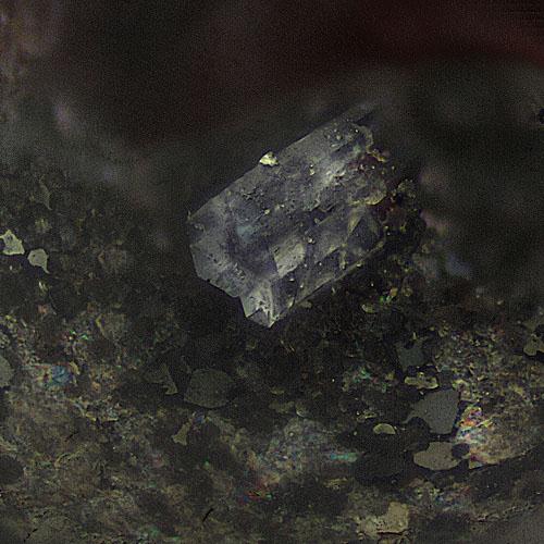 Indialite