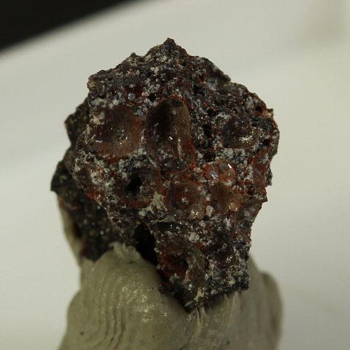 Indialite