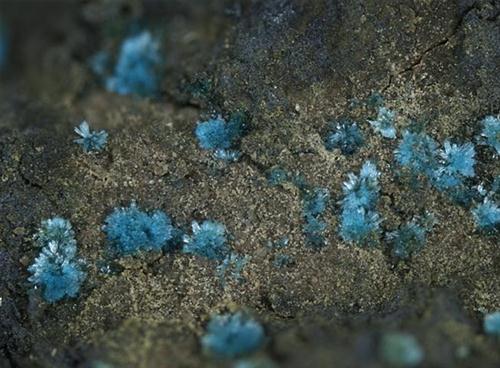 Minasragrite