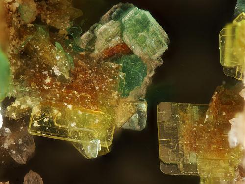 Autunite