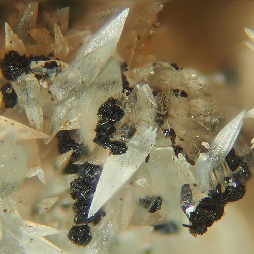 Sailaufite & Brandtite
