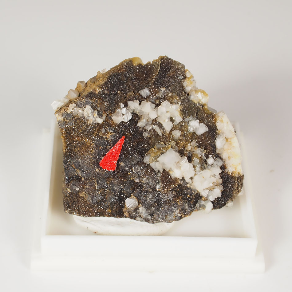 Wardite