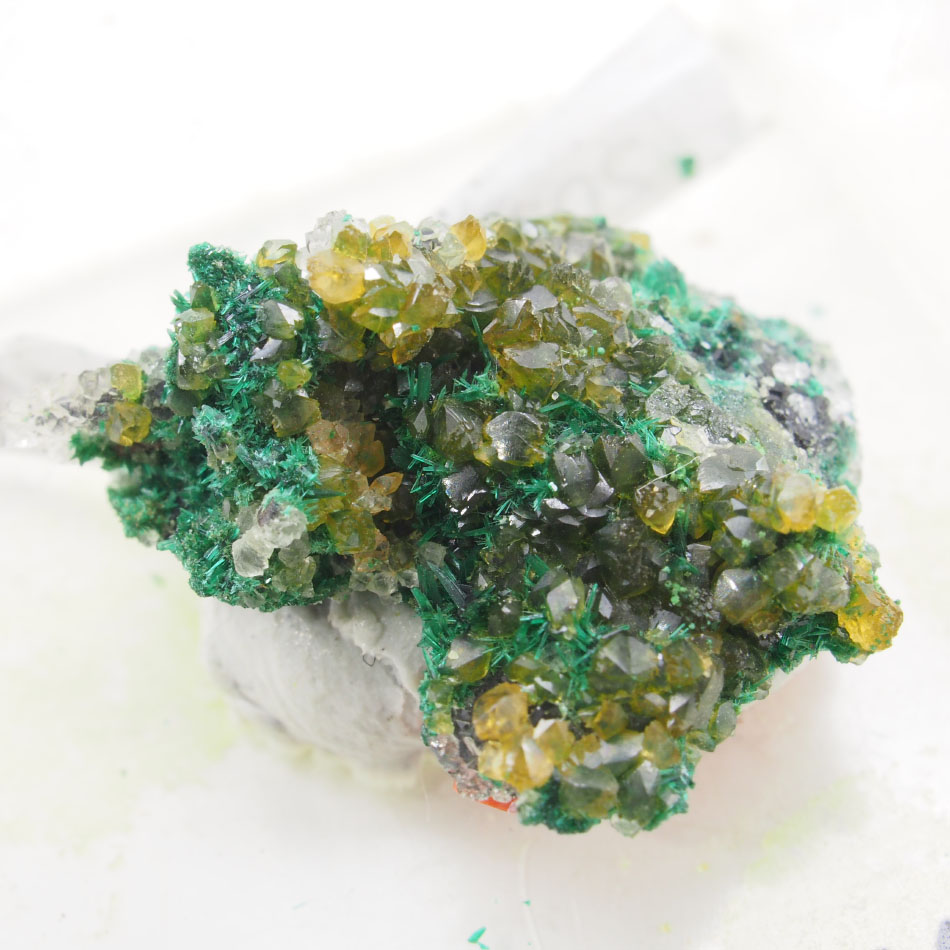 Powellite & Atacamite