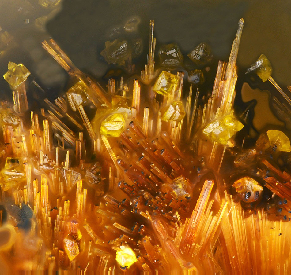 Wildenauerite & Cyrilovite