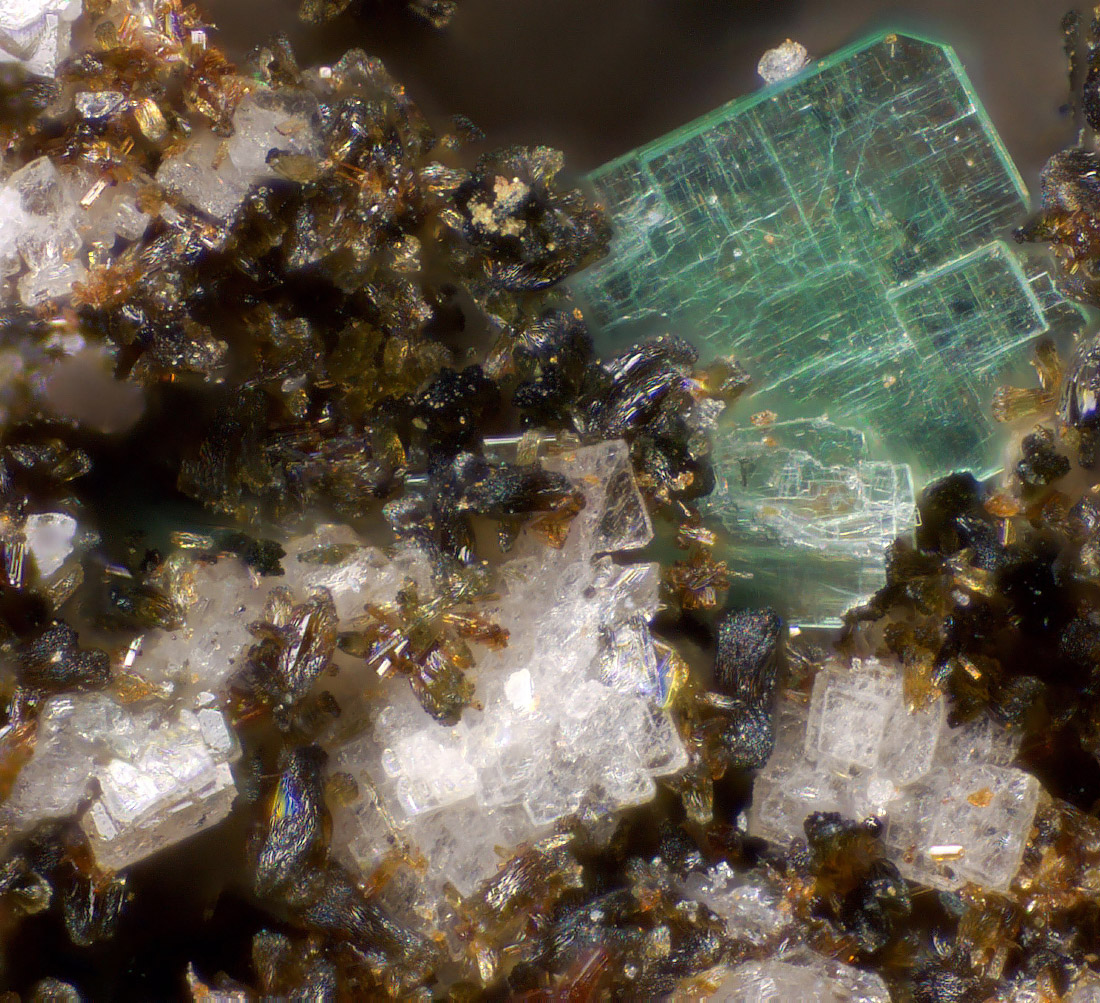 Torbernite & Benyacarite