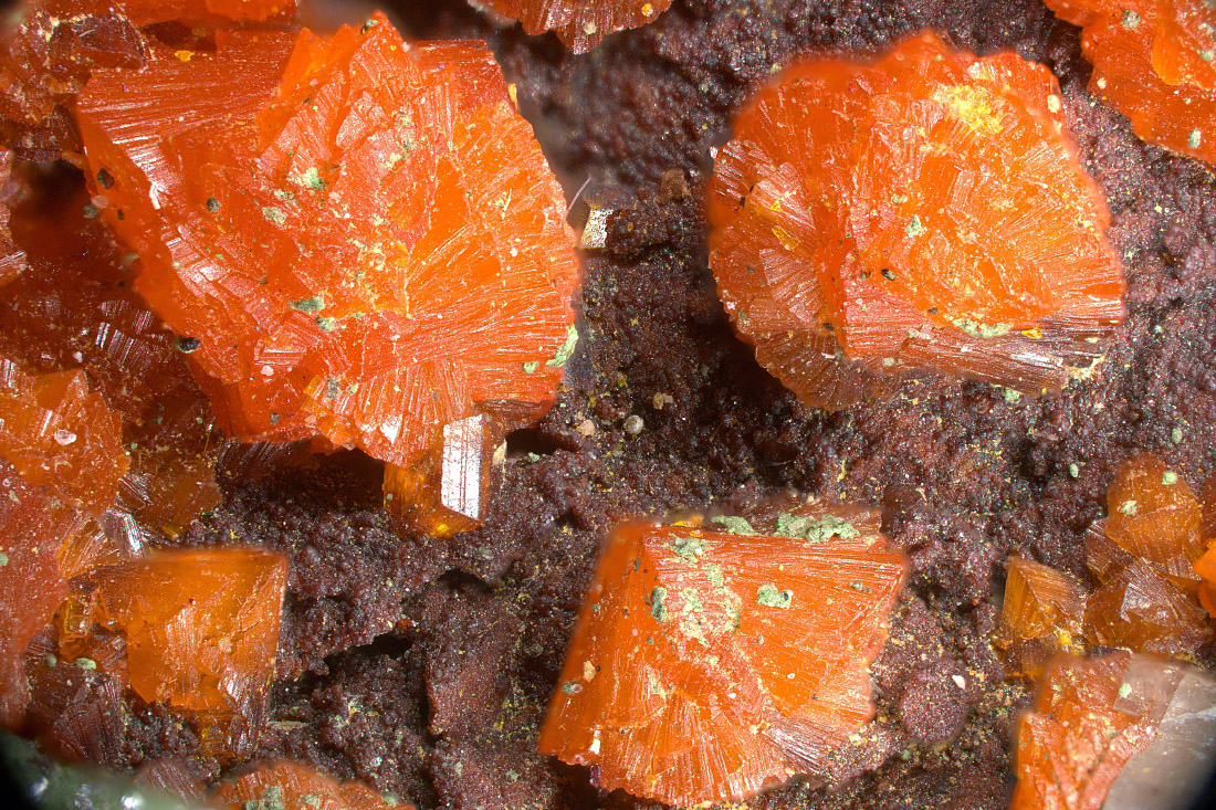 Chervetite Mounanaite Curienite & Francevillite