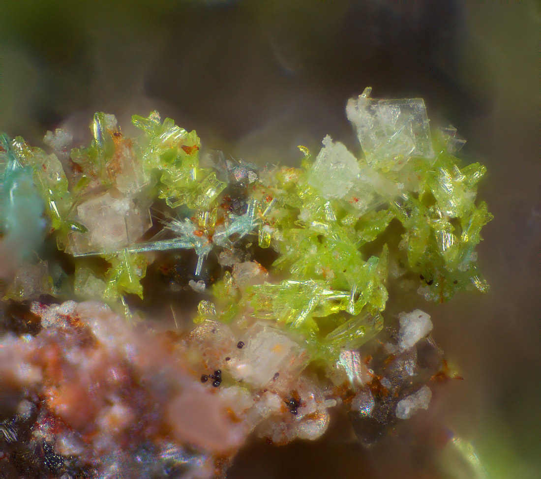 Molybdofornacite