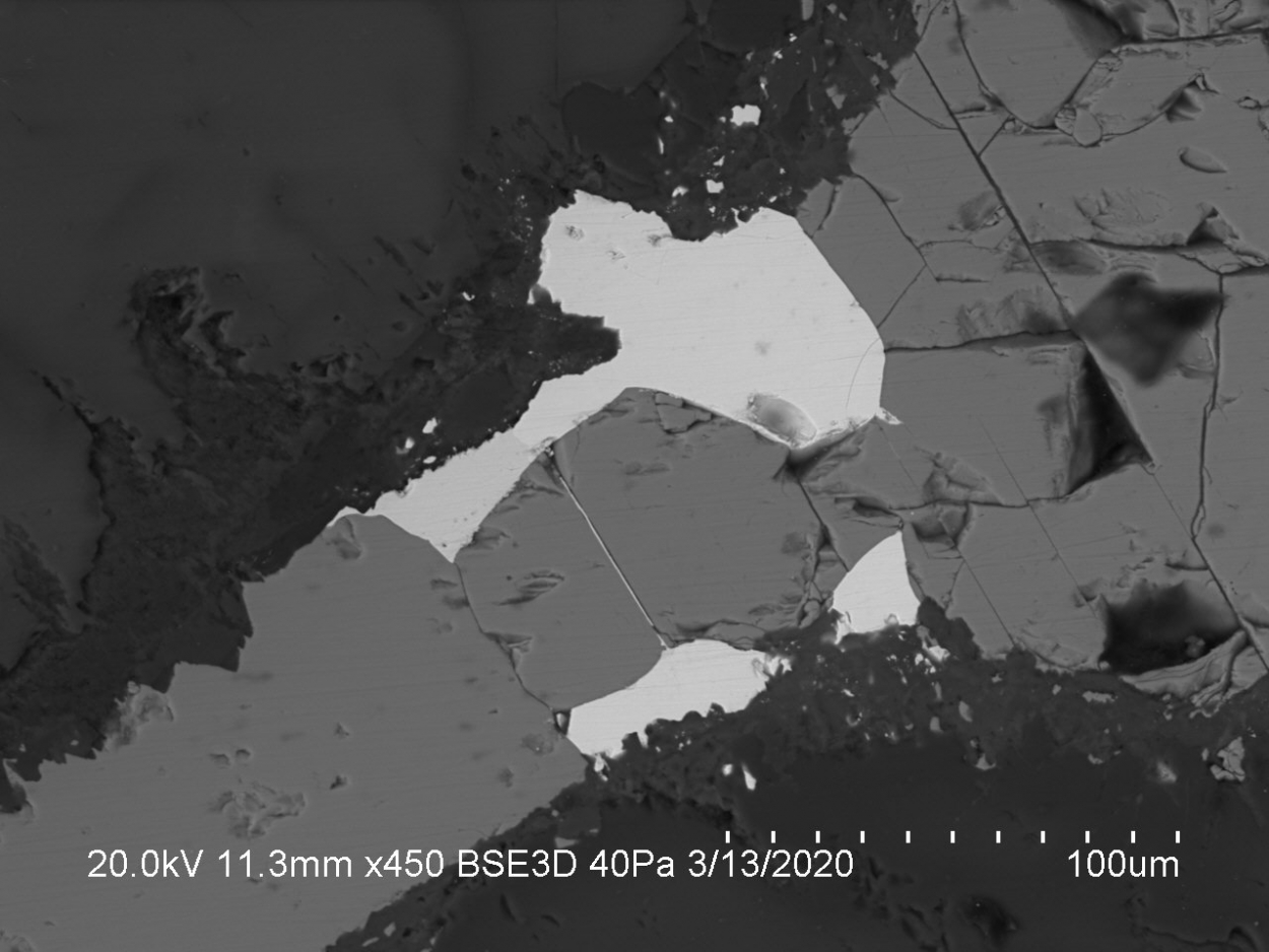 Rustenburgite Kotulskite & Platinum