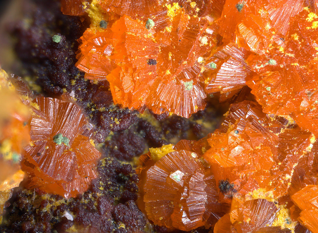 Francevillite Mounanaite & Chervetite