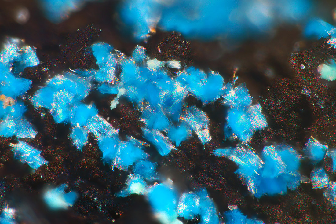 Cyanotrichite