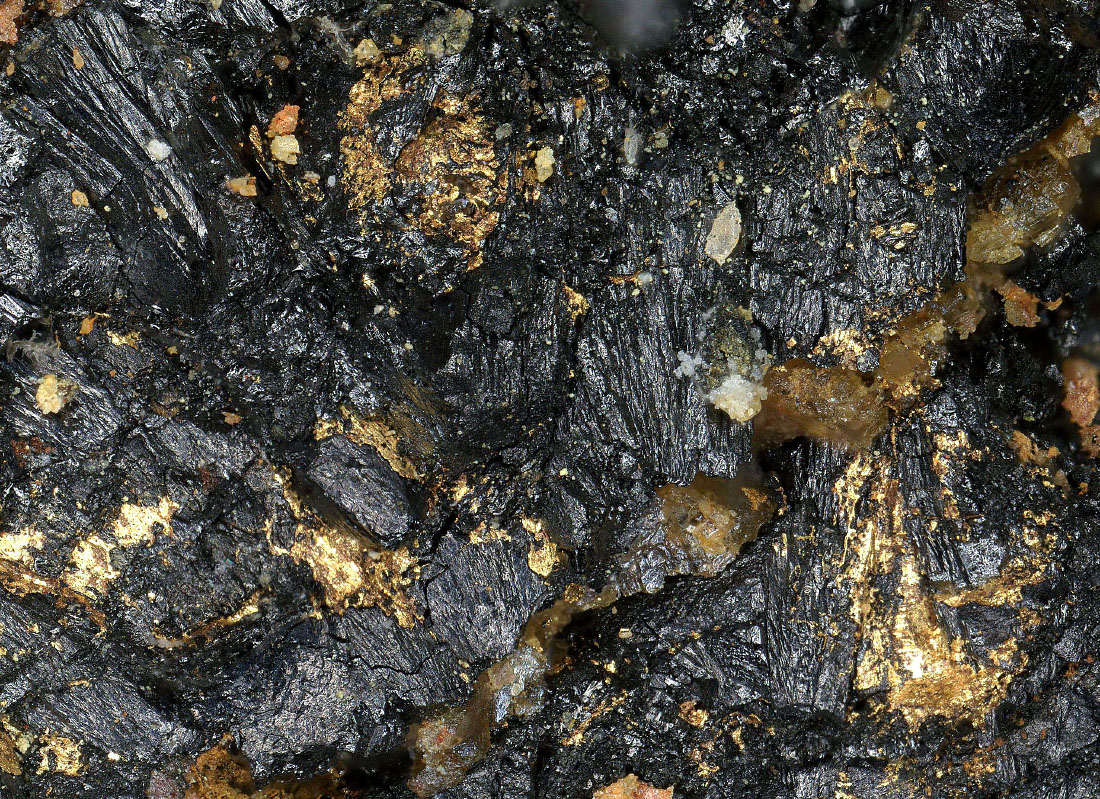 Native Gold In Uraninite