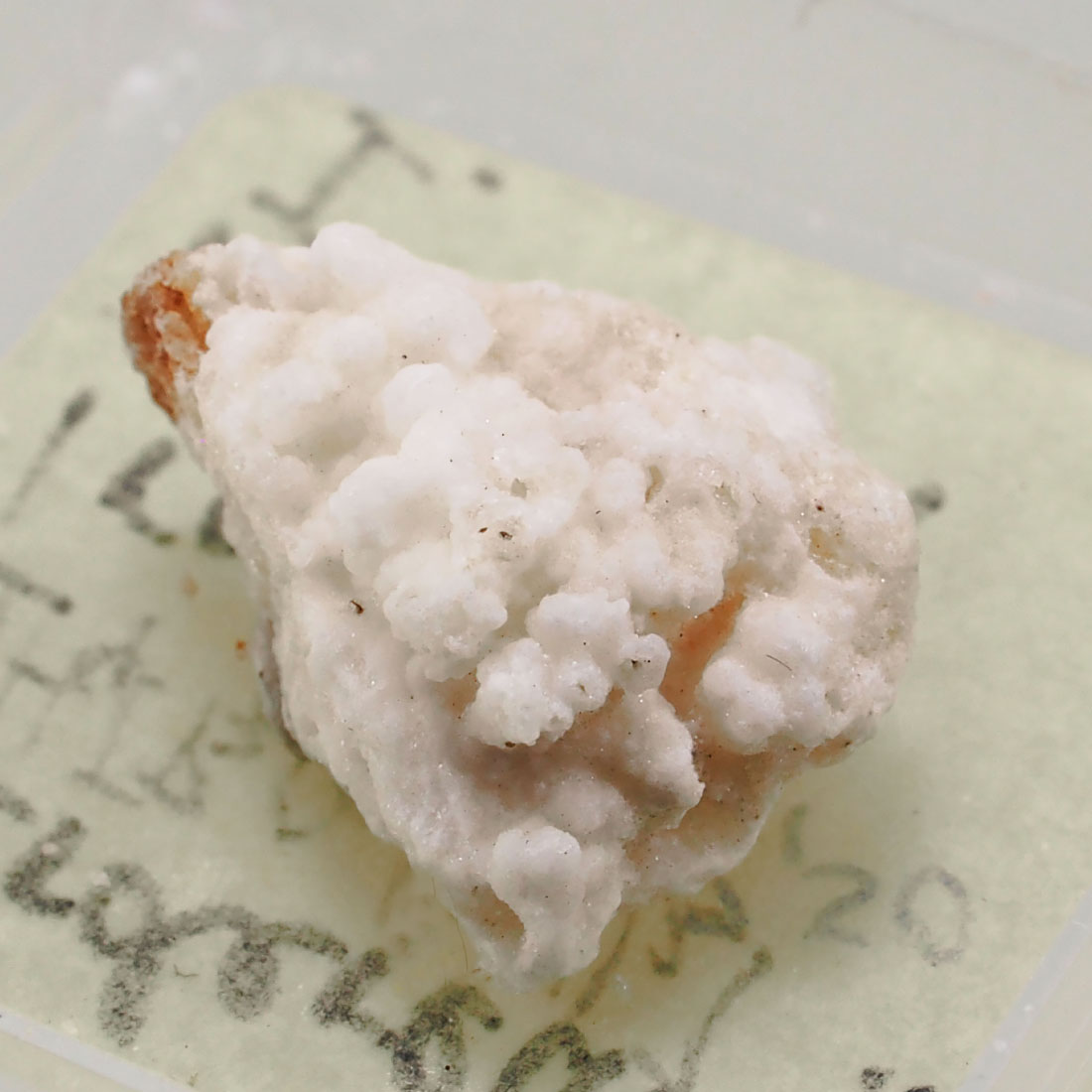 Larderellite