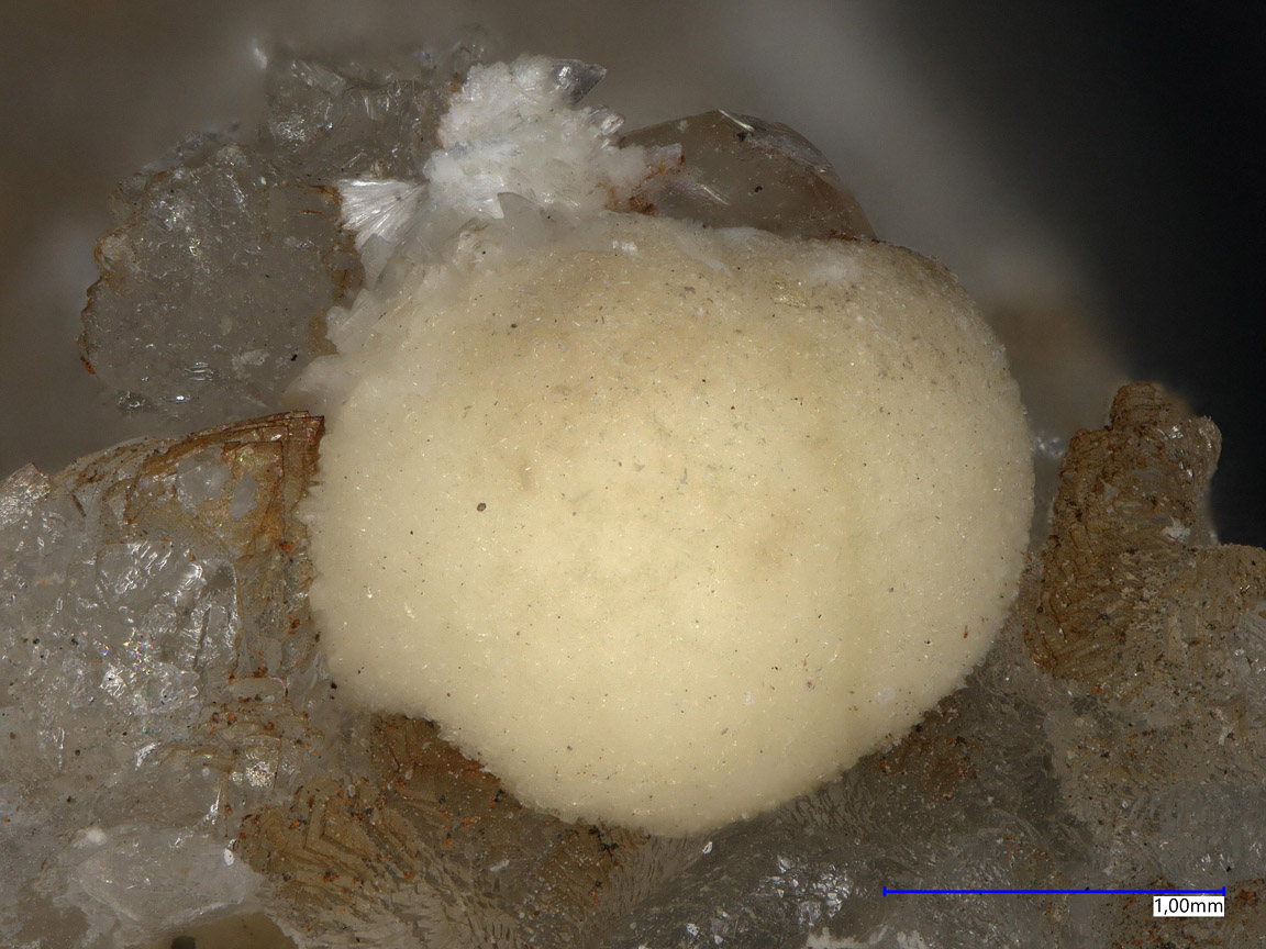 Dresserite