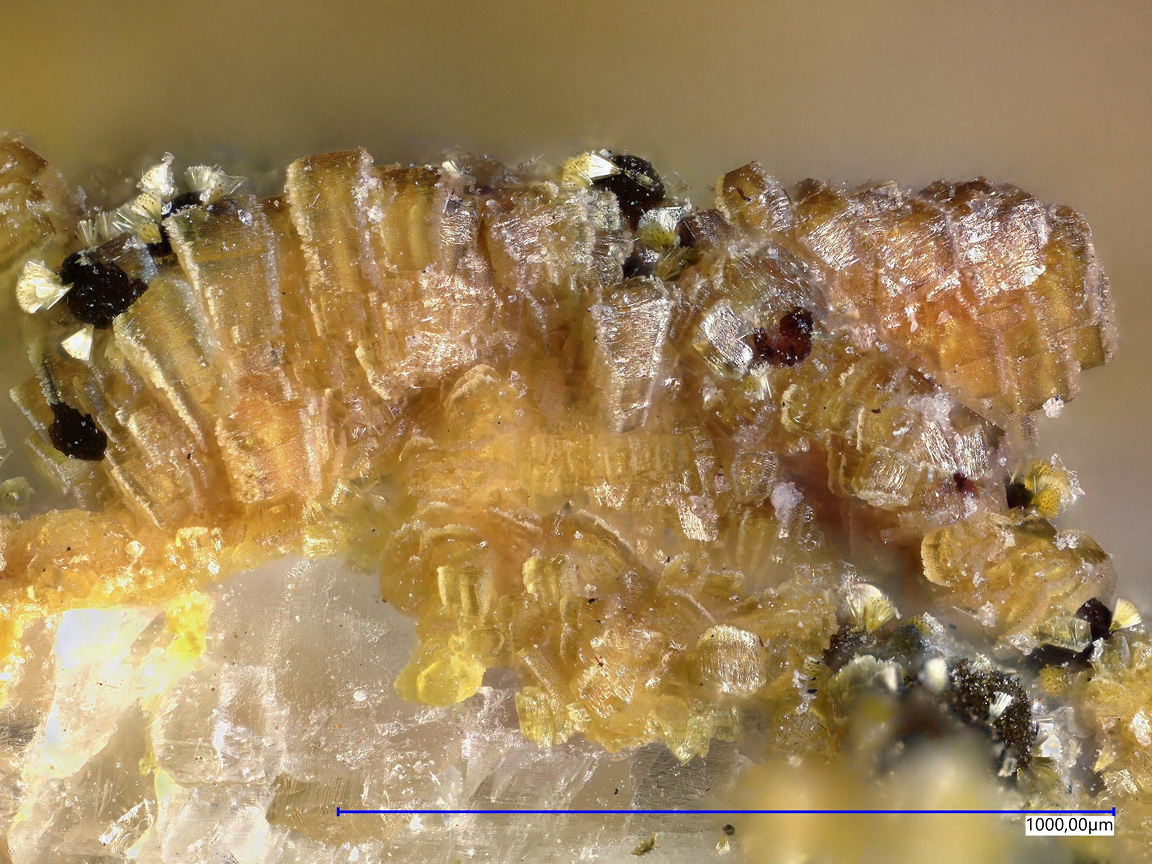 Jahnsite-(NaMnMg) & Ushkovite