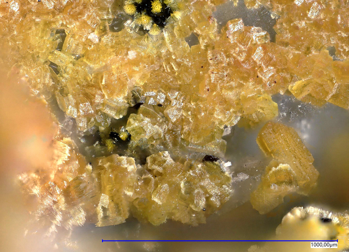 Jahnsite-(NaMnMg) & Ushkovite