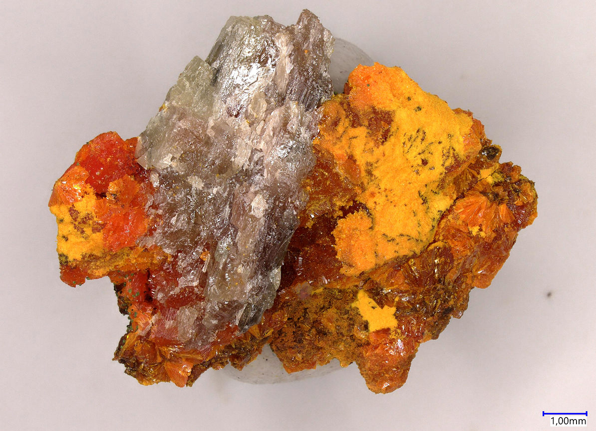 Chervetite & Francevillite