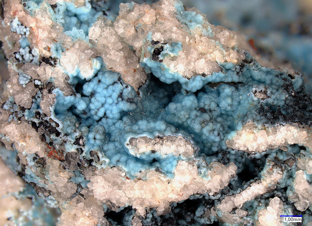 Arsenogorceixite