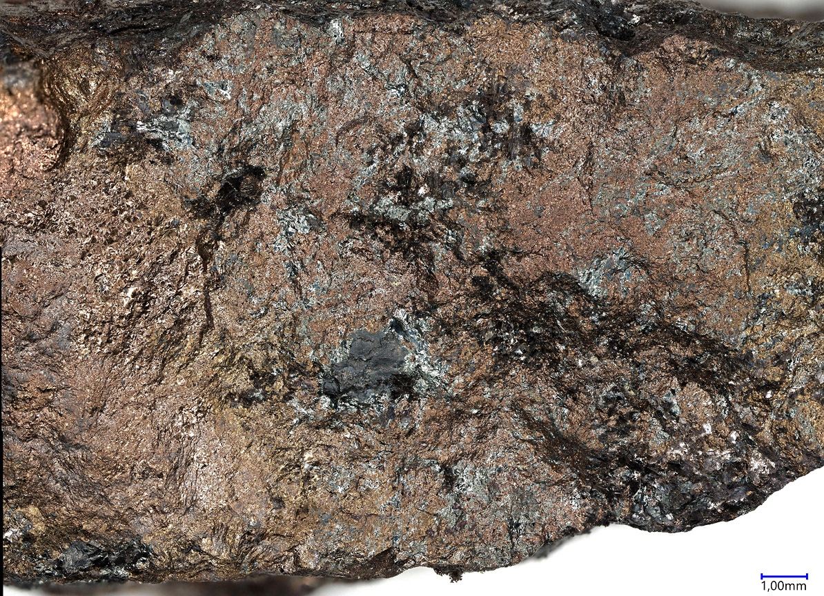 Germanite & Renierite