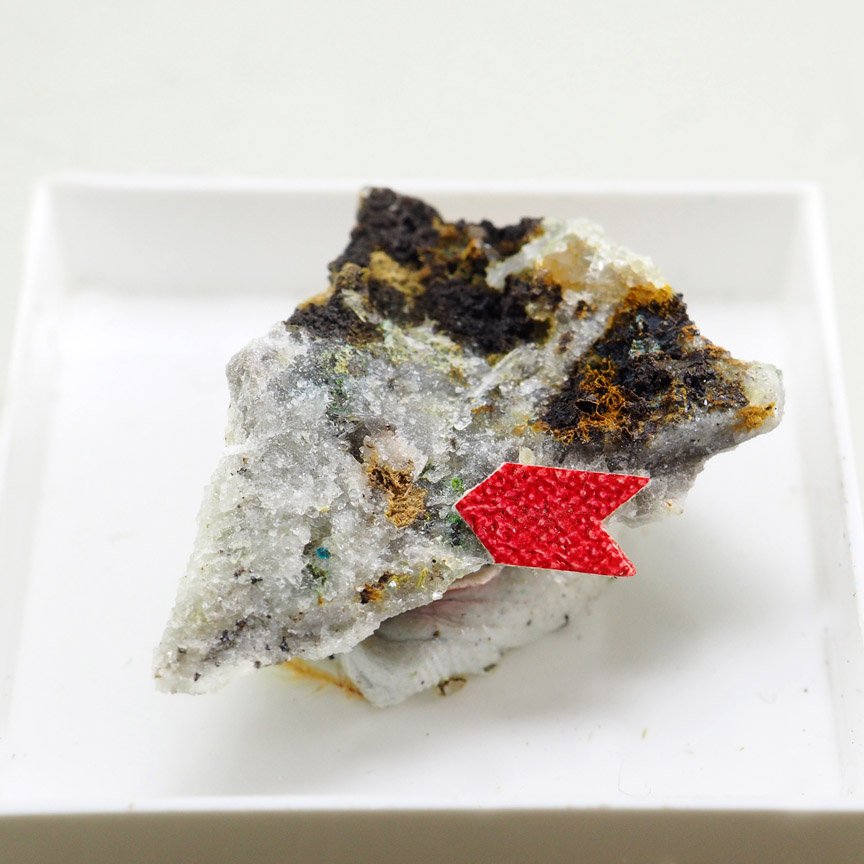 Utahite Dagenaisite & Dugganite
