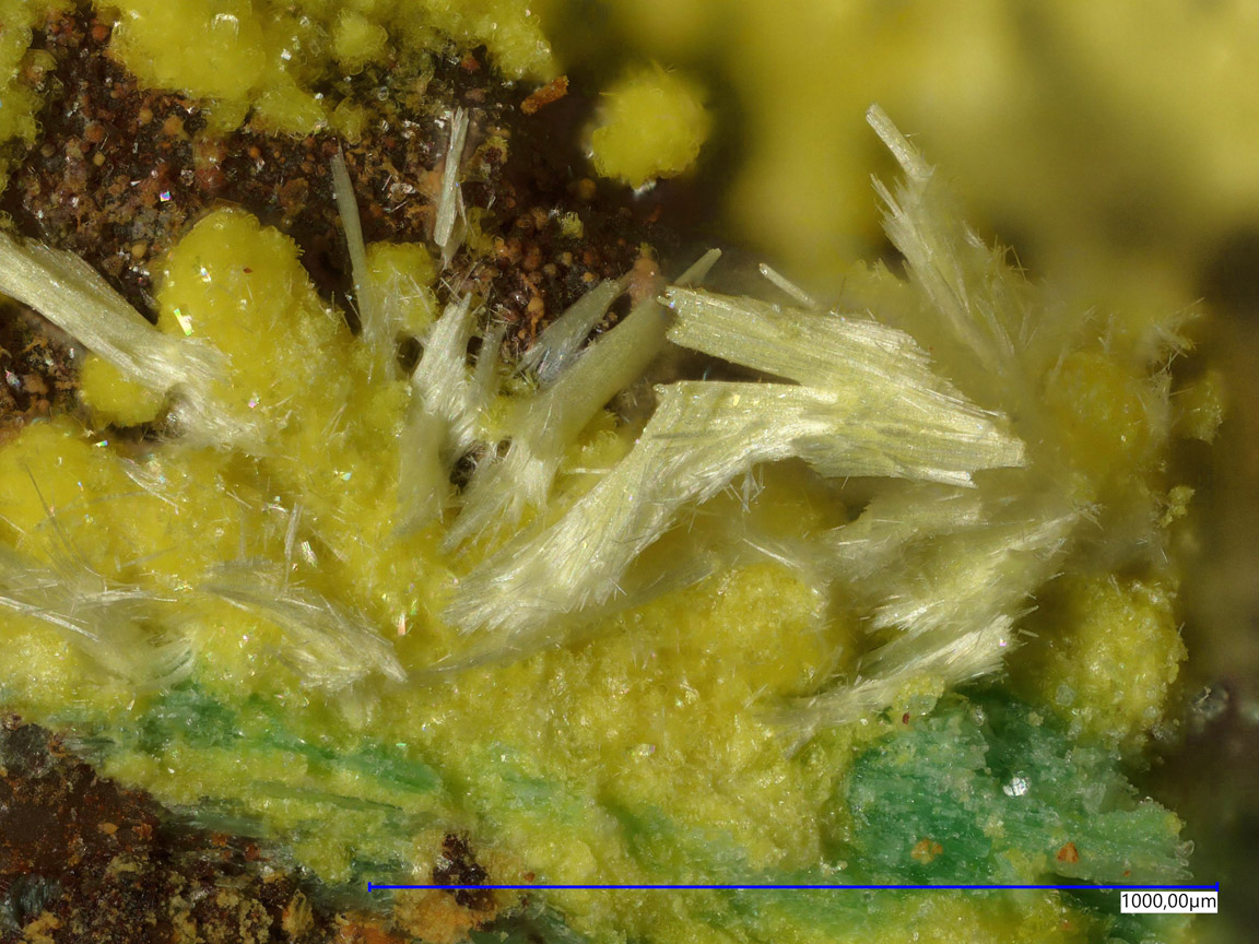 Studtite & Phosphuranylite