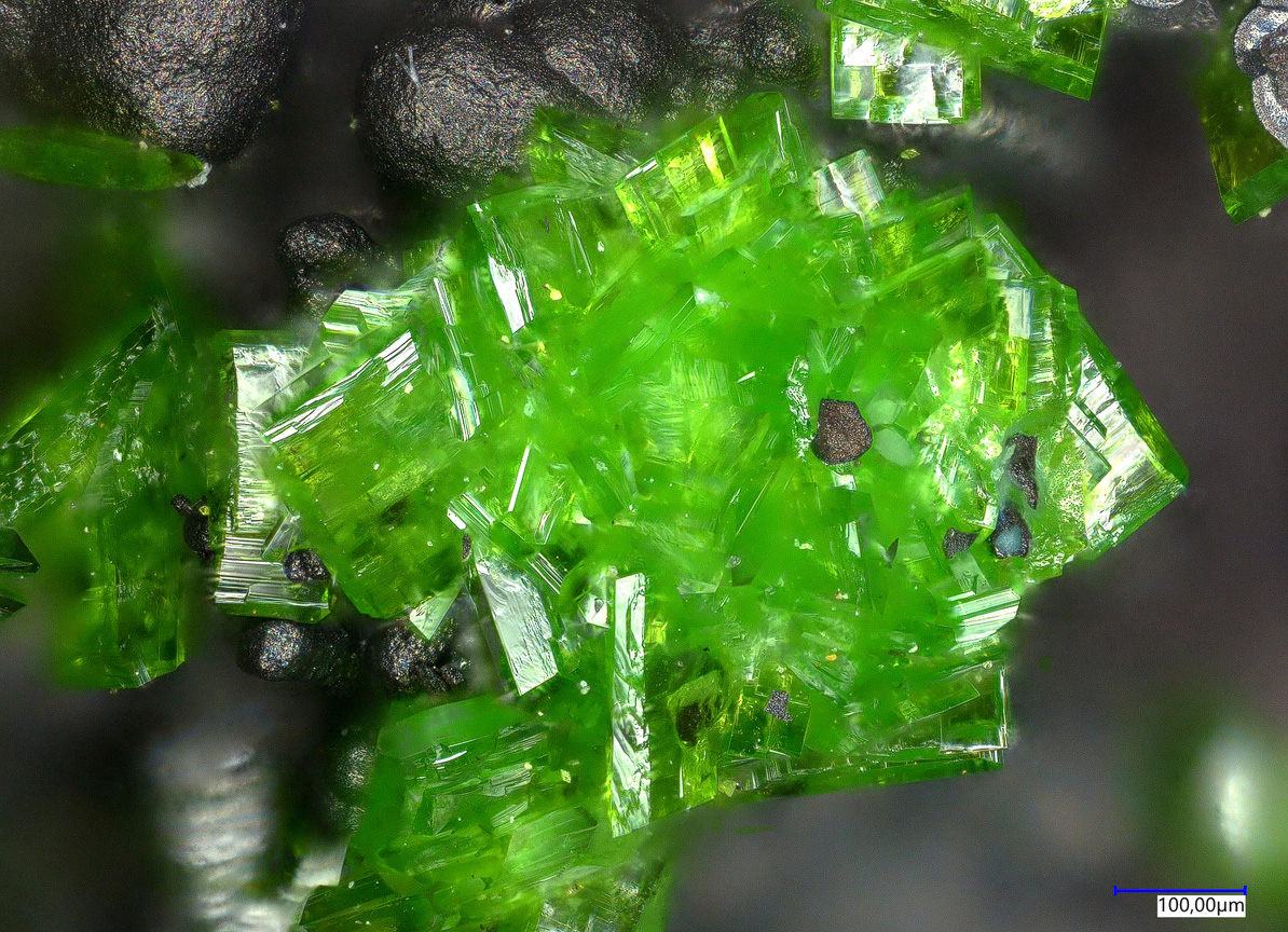 Molybdofornacite