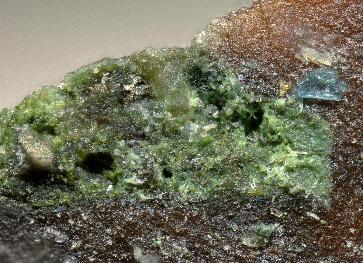 Sedovite
