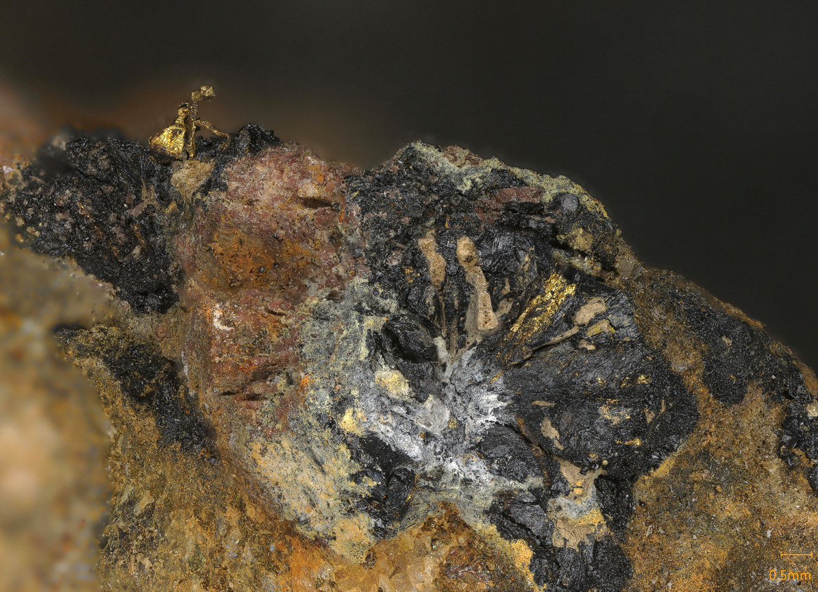 Native Gold & Uraninite