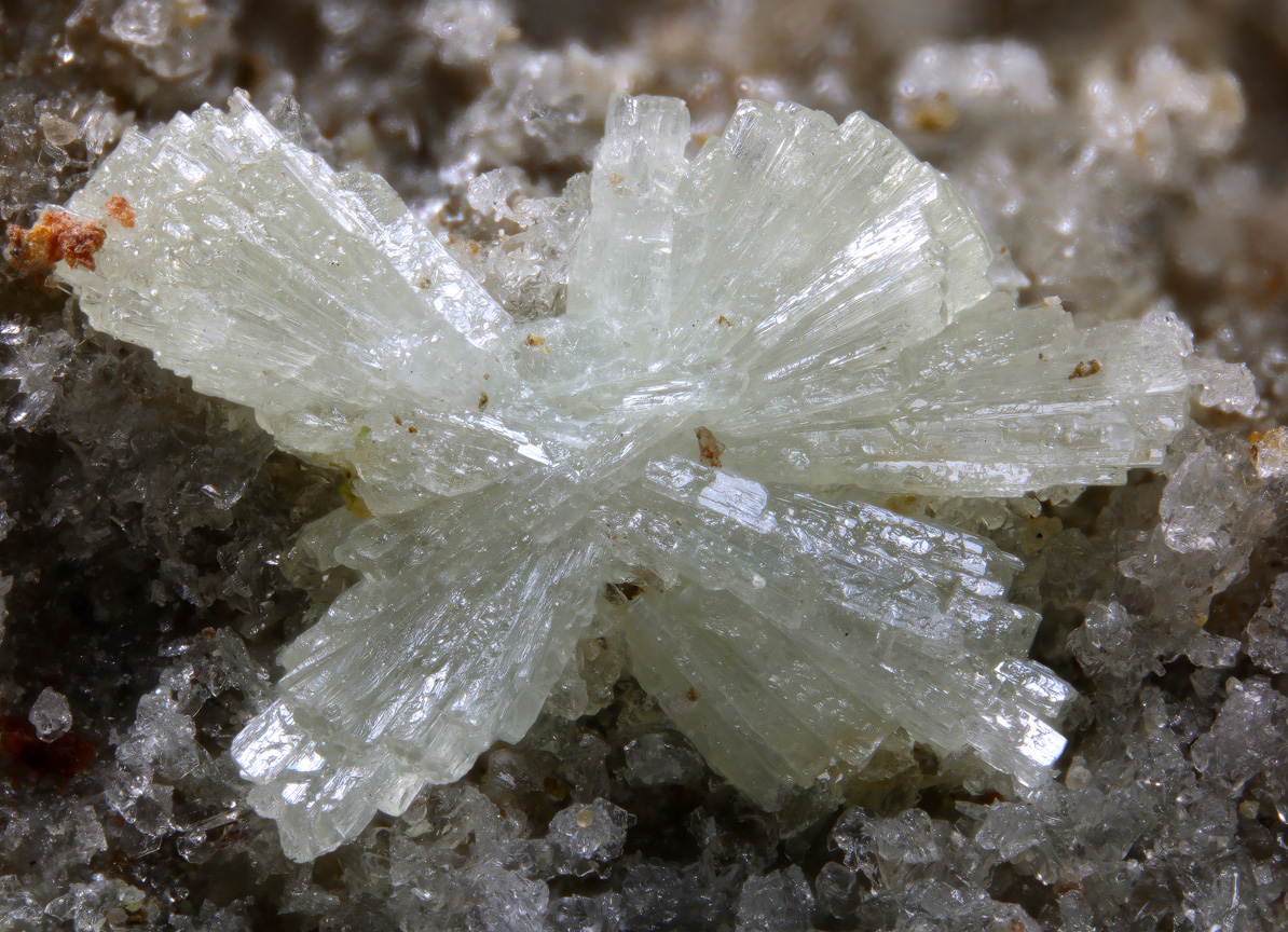 Dickthomssenite