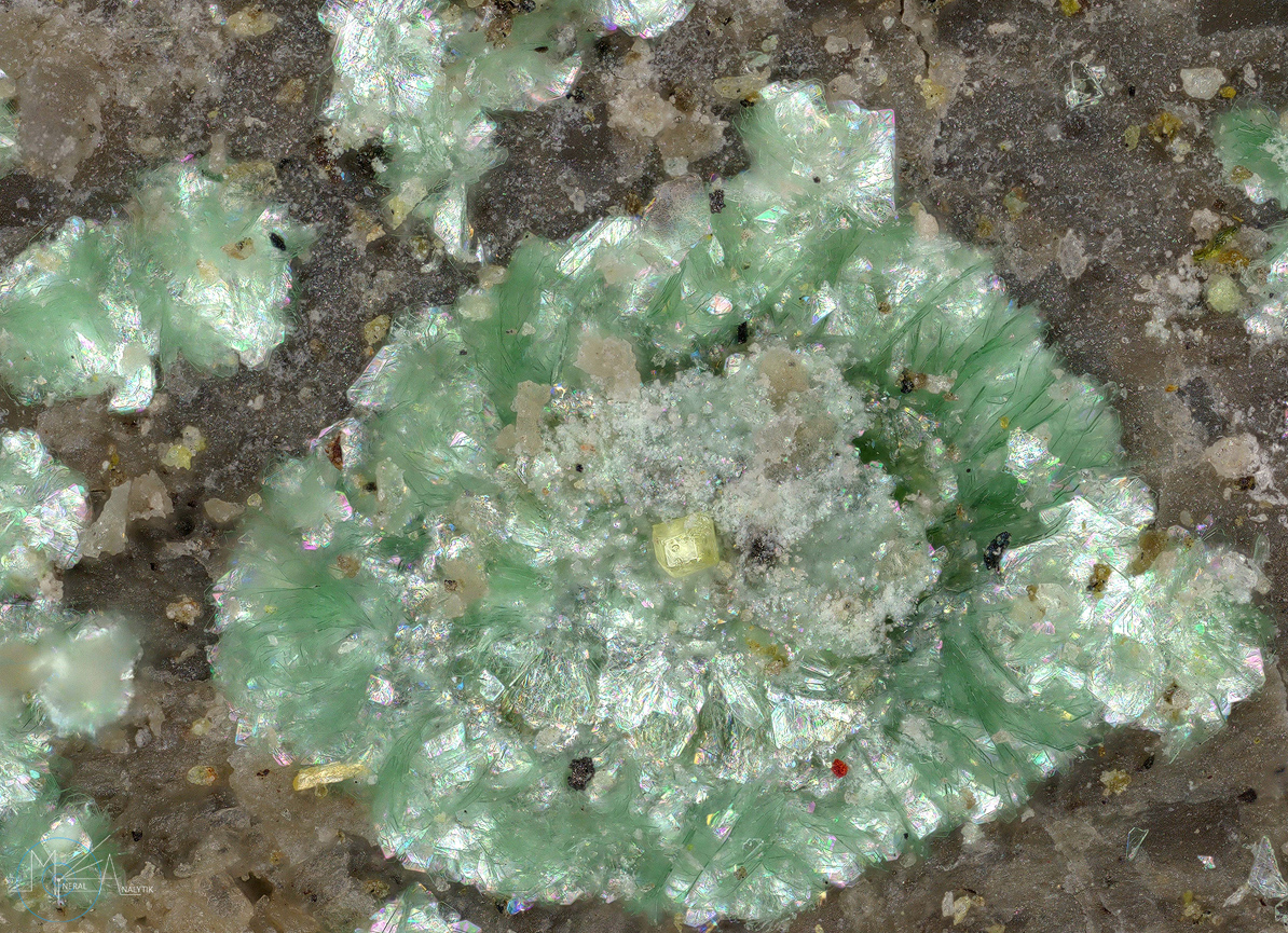 Fulbrightite